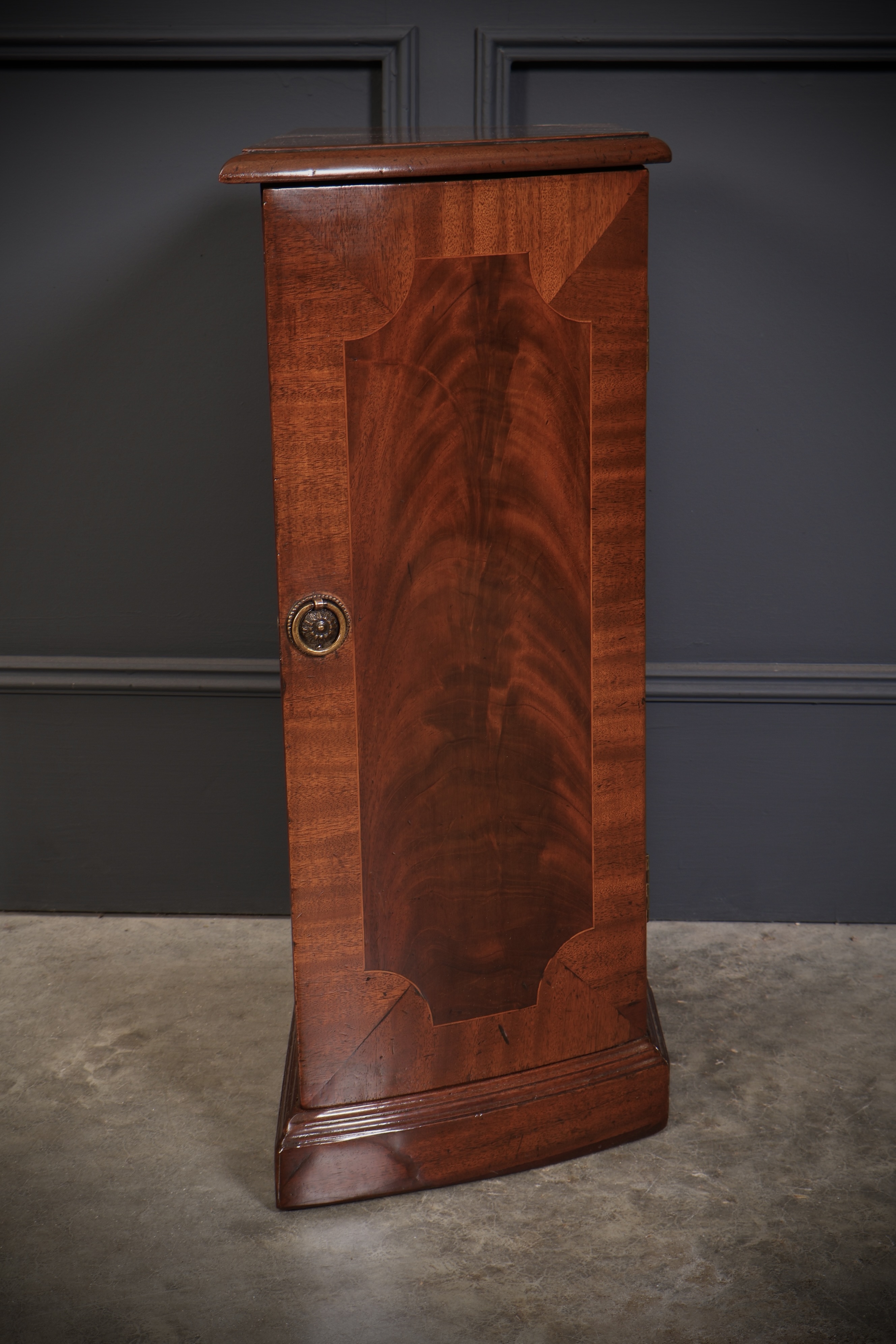 Pair Of Regency Mahogany Pedestal Cabinets - Image 5